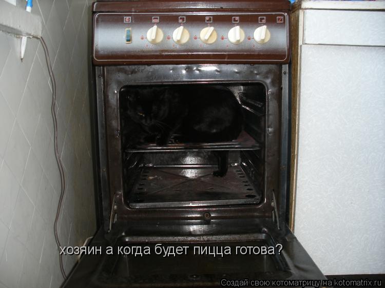 хозяин а когда будет пицца готова?... Котоматрица: хозяин а когда будет пицца готова?
