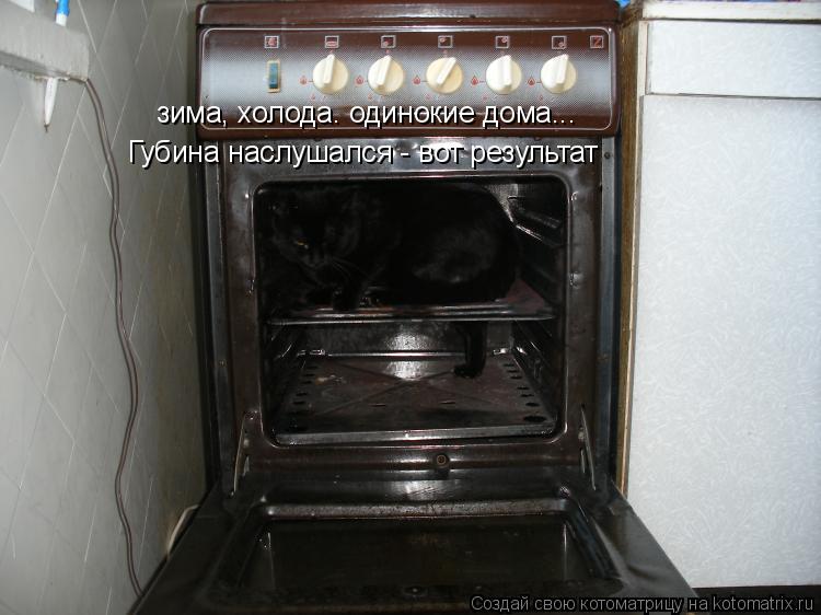 зима, холода. одинокие дома... Губина наслушался - вот результат... Котоматрица: зима, холода. одинокие дома... Губина наслушался - вот результат