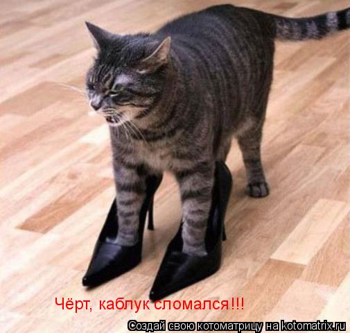 Чёрт, каблук сломался!!!... Котоматрица: Чёрт, каблук сломался!!!
