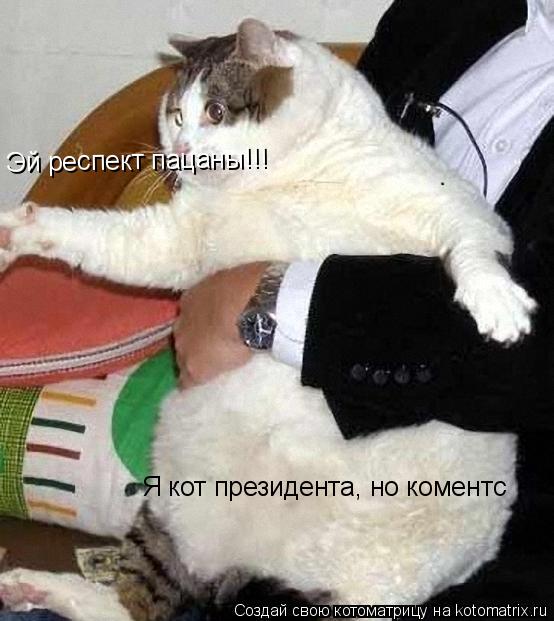 Эй респект пацаны!!! Я кот президента, но коментс... Котоматрица: Эй респект пацаны!!! Я кот президента, но коментс