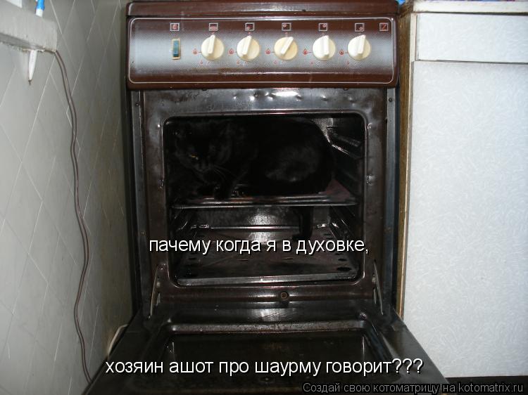 пачему когда я в духовке, хозяин ашот про шаурму говорит???... Котоматрица: пачему когда я в духовке, хозяин ашот про шаурму говорит???