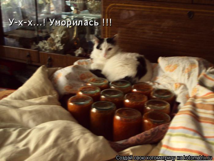 У-х-х...! Уморилась !!!... Котоматрица: У-х-х...! Уморилась !!!