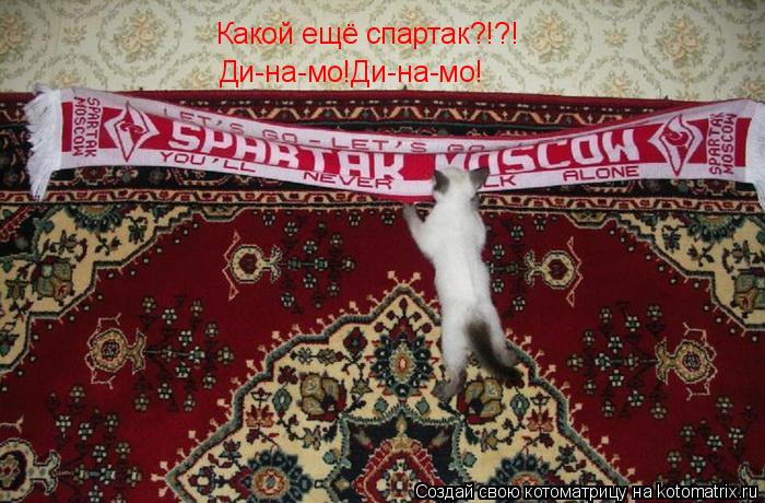 Какой ещё спартак?!?! Ди-на-мо!Ди-на-мо!... Котоматрица: Какой ещё спартак?!?! Ди-на-мо!Ди-на-мо!