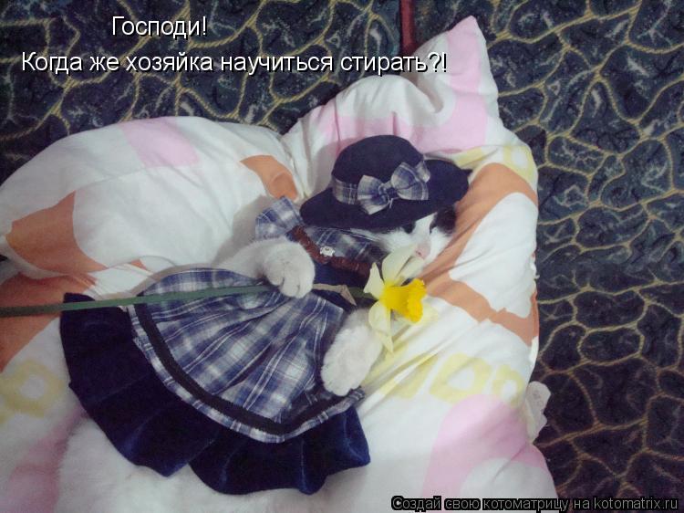 Господи! Когда же хозяйка научиться стирать?!... Котоматрица: Господи! Когда же хозяйка научиться стирать?!