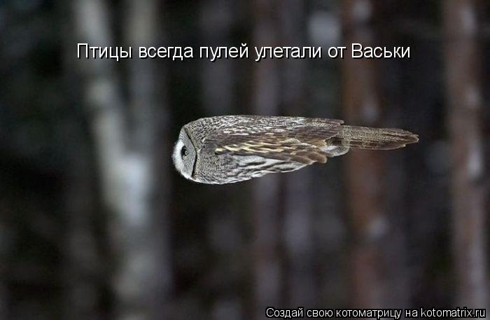 Птицы всегда пулей улетали от Васьки... Котоматрица: Птицы всегда пулей улетали от Васьки
