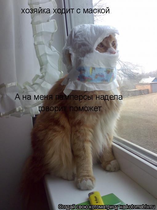 хозяйка ходит с маской А на меня памперсы надела говорит поможет... Котоматрица: хозяйка ходит с маской А на меня памперсы надела говорит поможет