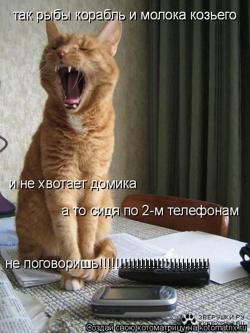 так рыбы корабль и молока козьего так рыбы корабль и молока козьего и не хвотает домика а то сидя по... Котоматрица: так рыбы корабль и молока козьего так рыбы корабль и молока козьего и не хвотает домика а то сидя по 2-м телефонам не поговоришь!!!!!!!!!!!!!!!!!!!!
