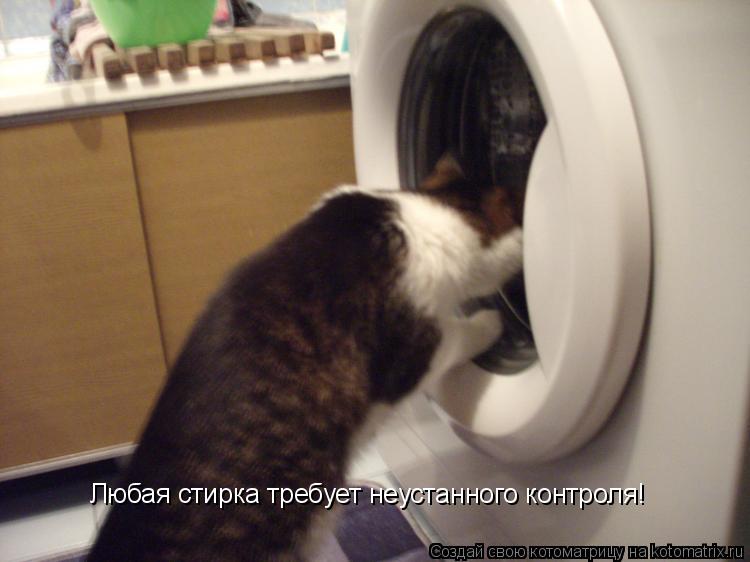 Любая стирка требует неустанного контроля!... Котоматрица: Любая стирка требует неустанного контроля!