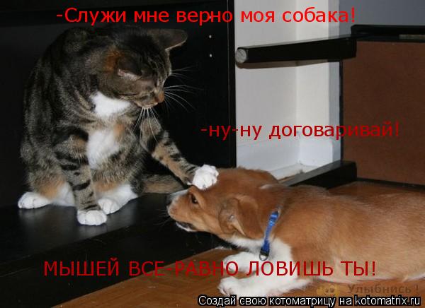 Котоматрица: -Служи мне верно моя собака! -ну-ну договаривай! МЫШЕЙ ВСЕ-РАВНО ЛОВИШЬ ТЫ!