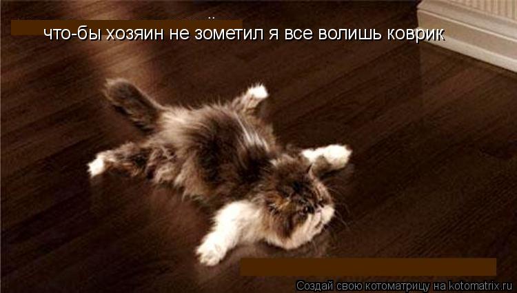 Котоматрица: что-бы хозяин не зометил я все волишь коврик