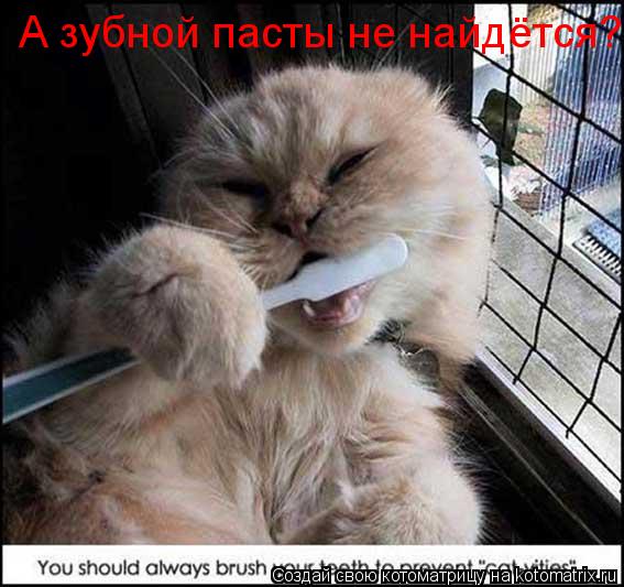 Котоматрица: А зубной пасты не найдётся?