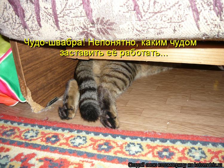Котоматрица: Чудо-швабра! Непонятно, каким чудом заставить её работать...