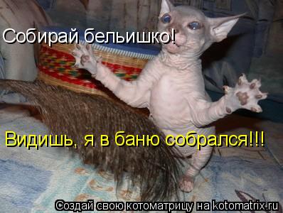 Котоматрица: Собирай бельишко! Видишь, я в баню собрался!!!