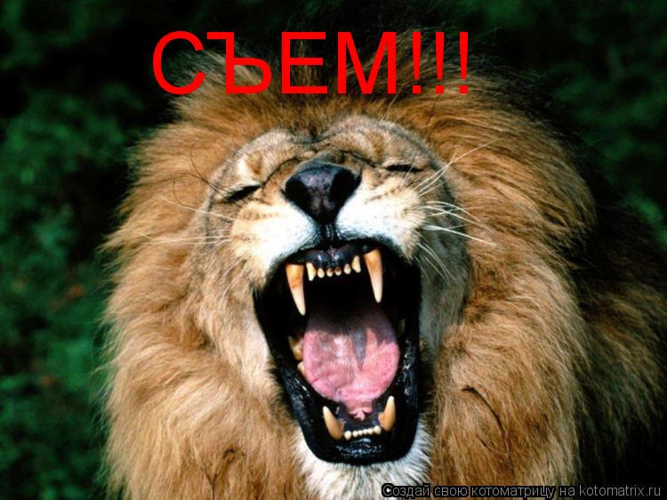 СЪЕМ!!!... Котоматрица: СЪЕМ!!!