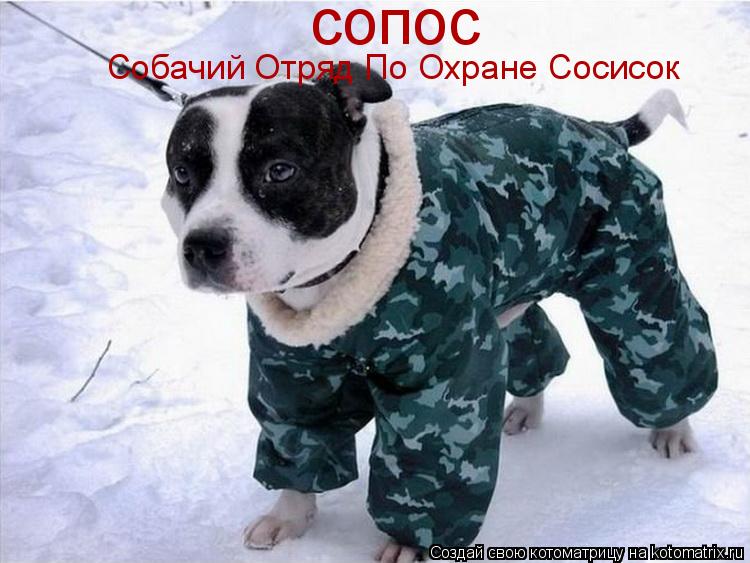 Котоматрица: сопос Собачий Отряд По Охране Сосисок