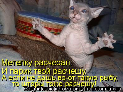Котоматрица: Метелку расчесал. И парик твой расчешу. А если не дашь во-от такую рыбу,  то шторы тоже расчешу!