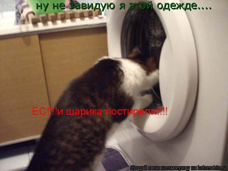 Котоматрица: ну не завидую я этой одежде.... ЕС!!!!и шарика постирали!!!!