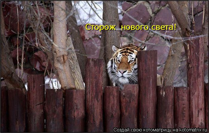 Котоматрица: Сторож  нового света!