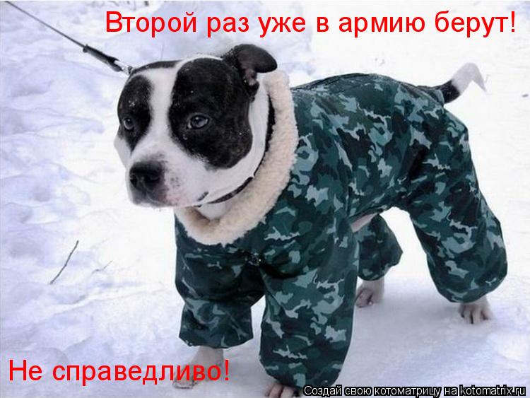 Котоматрица: Второй раз уже в армию берут! Не справедливо!