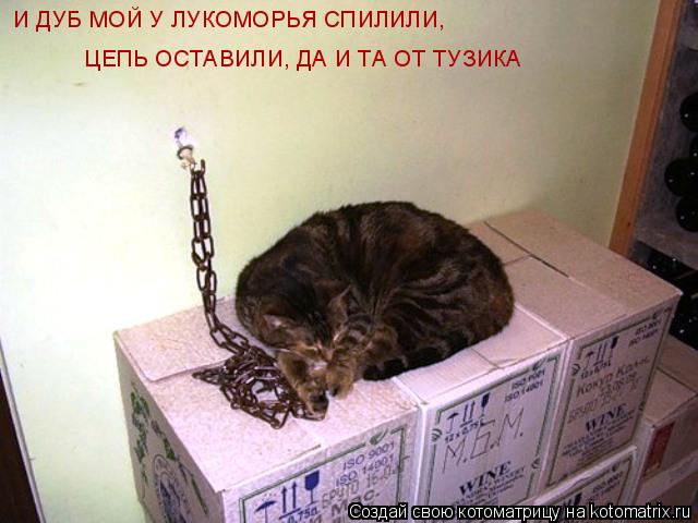 Котоматрица: И ДУБ МОЙ У ЛУКОМОРЬЯ СПИЛИЛИ,  ЦЕПЬ ОСТАВИЛИ, ДА И ТА ОТ ТУЗИКА