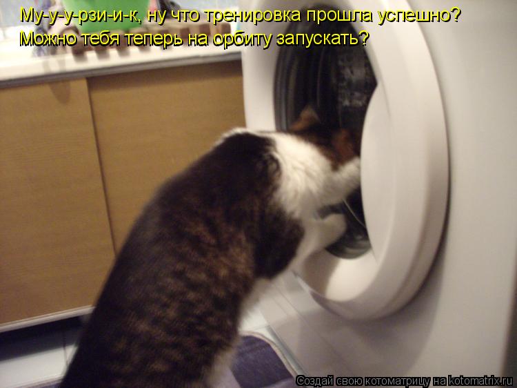 Котоматрица: Му-у-у-рзи-и-к, ну что тренировка прошла успешно? Му-у-у-рзи-и-к, ну что тренировка прошла успешно? Можно тебя теперь на орбиту запускать? Можно