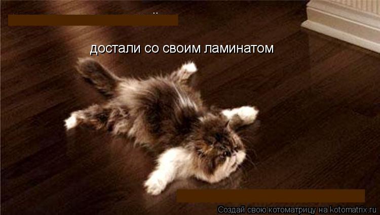 Котоматрица: достали со своим ламинатом