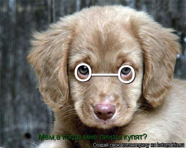 Котоматрица: О __ О Мам,а когда мне линзы купят?