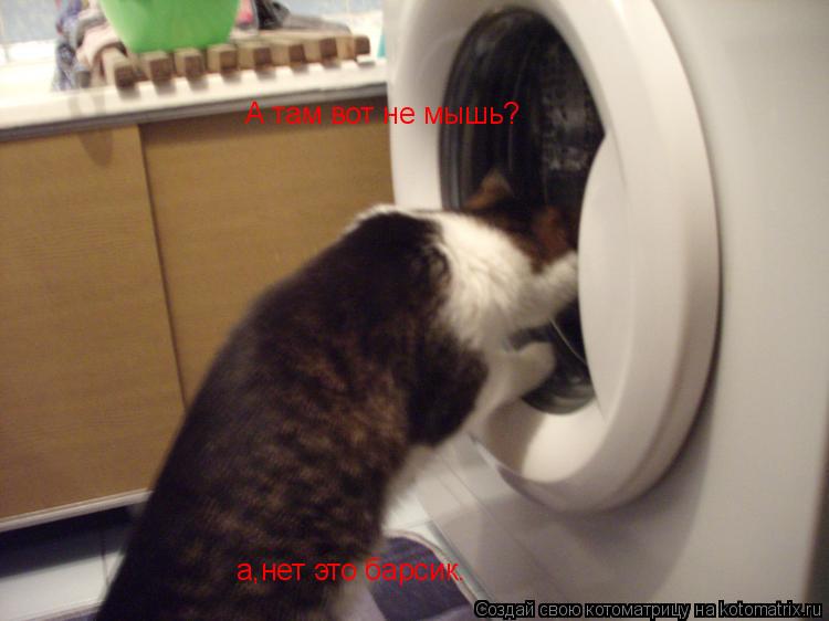 Котоматрица: А там вот не мышь? а,нет это барсик.