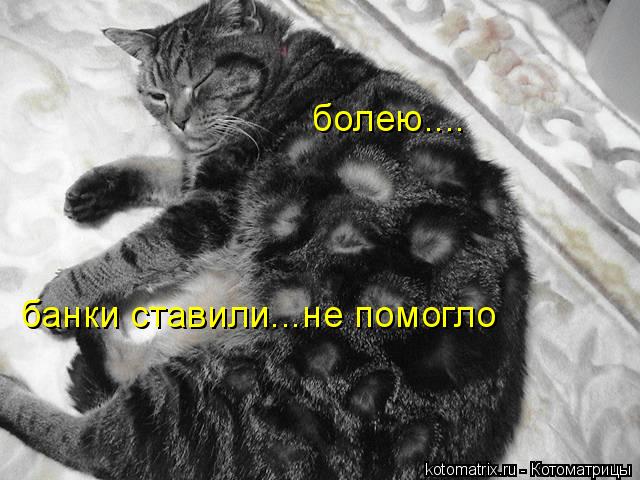 Котоматрица: болею.... банки ставили...не помогло
