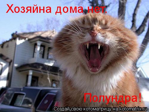 Котоматрица: Хозяйна дома нет. Полундра!