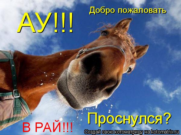 Котоматрица: АУ!!! Проснулся? Добро пожаловать В РАЙ!!!