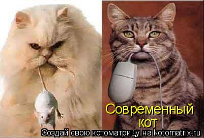 Котоматрица: Современный кот
