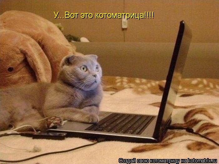 Котоматрица: У...Вот это котоматрица!!!!