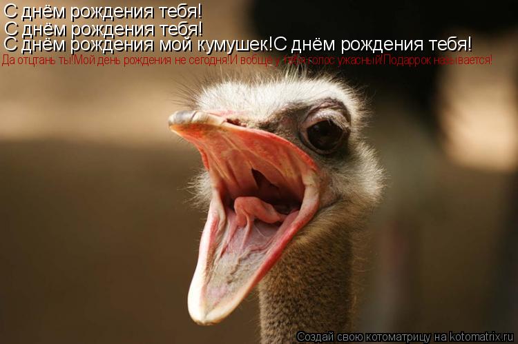 Котоматрица: С днём рождения тебя! С днём рождения тебя! С днём рождения мой кумушек!С днём рождения тебя! Да отцтань ты!Мой день рождения не сегодня!И воб