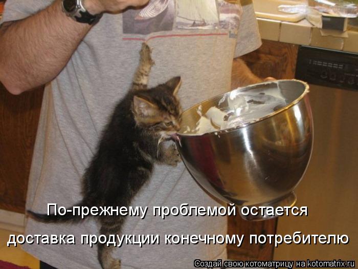 Котоматрица: По-прежнему проблемой остается доставка продукции конечному потребителю