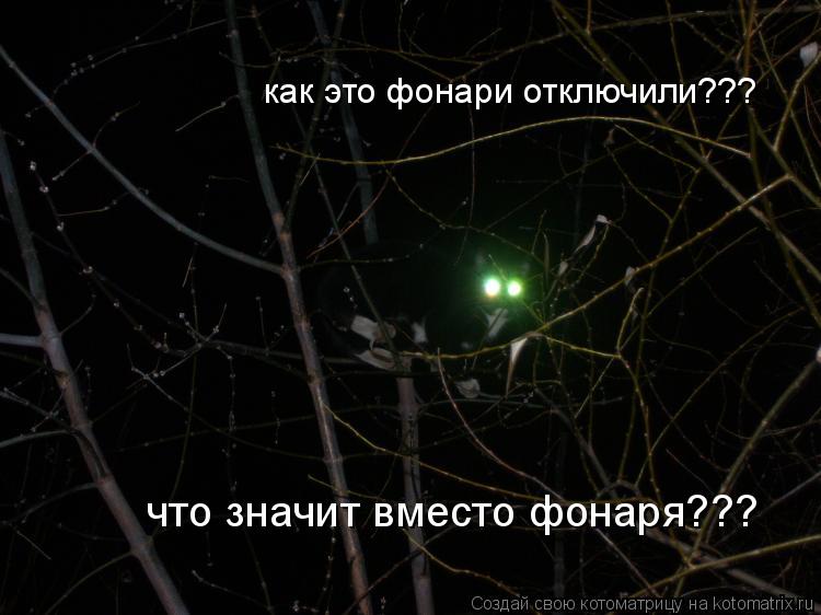 Котоматрица: как это фонари отключили??? что значит вместо фонаря???