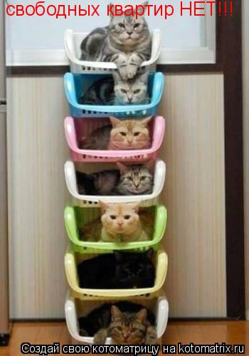 Котоматрица: свободных квартир НЕТ!!!