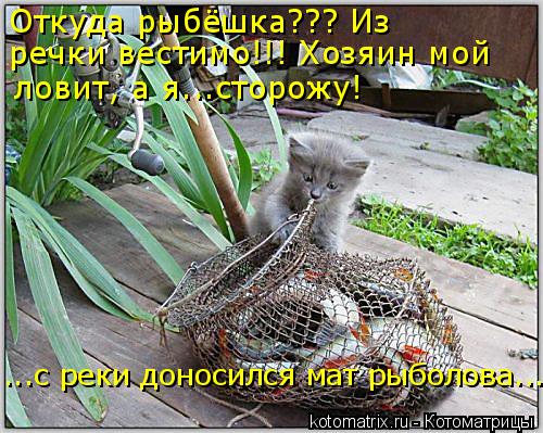 Откуда рыбёшка??? Из речки вестимо!!! Хозяин мой ловит, а я...сторожу! ...с реки доносился мат рыбол... Котоматрица: Откуда рыбёшка??? Из речки вестимо!!! Хозяин мой ловит, а я...сторожу! ...с реки доносился мат рыболова...