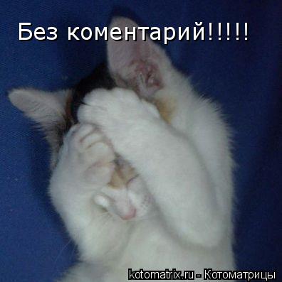 Без коментарий!!!!!... Котоматрица: Без коментарий!!!!!