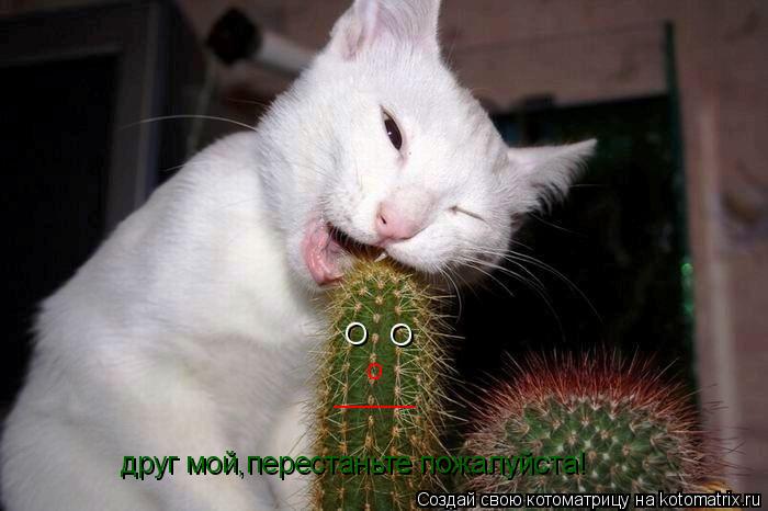 О О о _____ друг мой,перестаньте пожалуйста!... Котоматрица: О О о _____ друг мой,перестаньте пожалуйста!