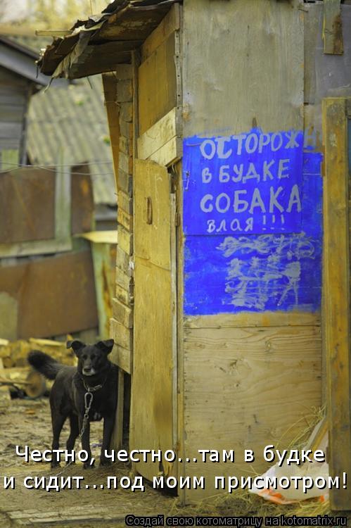 Честно, честно...там в будке и сидит...под моим присмотром!... Котоматрица: Честно, честно...там в будке и сидит...под моим присмотром!
