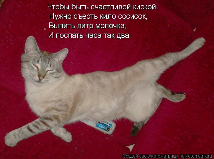 Котоматрица: Чтобы быть счастливой киской, Нужно съесть кило сосисок, Выпить литр молочка, И поспать часа так два.