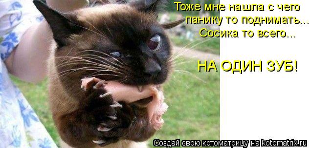 Котоматрица: Тоже мне нашла с чего панику то поднимать... Сосика то всего... НА ОДИН ЗУБ!