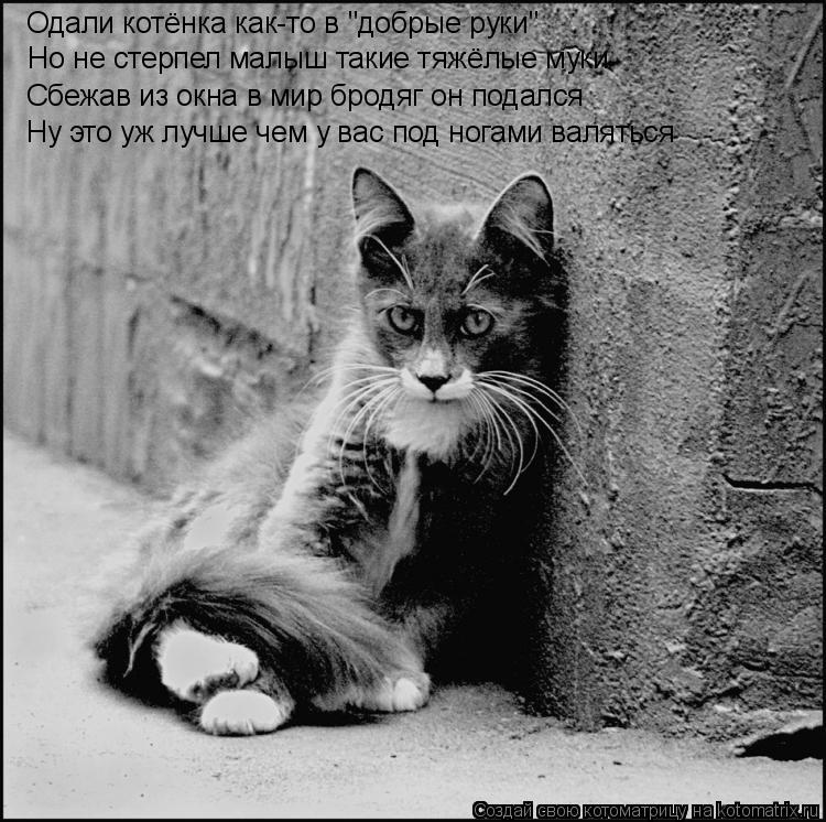 Котоматрица: Одали котёнка как-то в "добрые руки" Но не стерпел малыш такие тяжёлые муки Сбежав из окна в мир бродяг он подался Ну это уж лучше чем у вас по