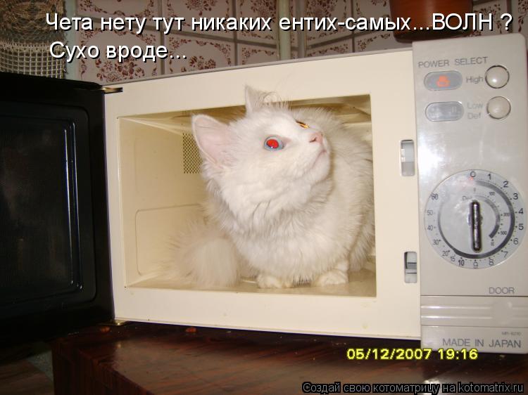Котоматрица: Чета нету тут никаких ентих-самых...ВОЛН Сухо вроде... ?