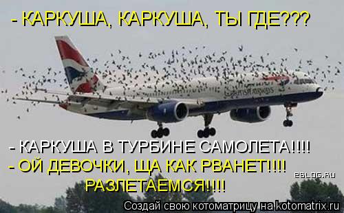 Котоматрица: - КАРКУША В ТУРБИНЕ САМОЛЕТА!!!! - КАРКУША, КАРКУША, ТЫ ГДЕ???  - ОЙ ДЕВОЧКИ, ЩА КАК РВАНЕТ!!!! РАЗЛЕТАЕМСЯ!!!!