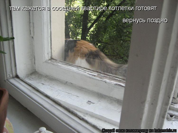 Котоматрица: там кажется в соседней квартире котлетки готовят вернусь поздно