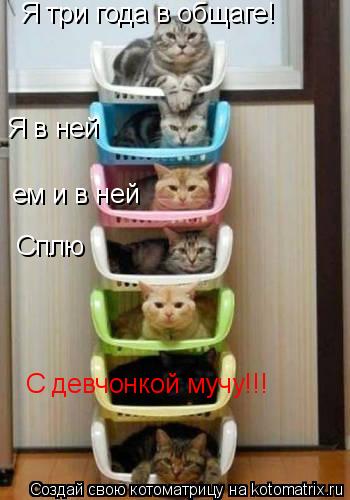 Котоматрица: Я три года в общаге! Я в ней ем и в ней Сплю С девчонкой мучу!!!