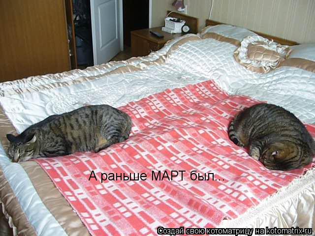 Котоматрица: А раньше МАРТ был...