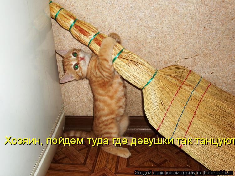 Хозяин, пойдем туда где девушки так танцуют!... Котоматрица: Хозяин, пойдем туда где девушки так танцуют!